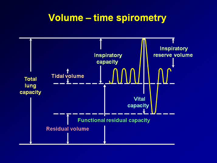 Volume Time Spirometry Dyspnea in COPD Activity Two COPD